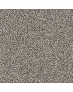 Dreamweaver Windy City II Mesa Falls Carpet - DW-4935-6028