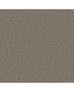 Dreamweaver Windy City II Autumn Glow Carpet - DW-4935-6030