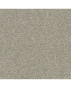 Dreamweaver Breakview I Gingerbread Carpet - DW-4940-2811