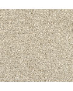 Dreamweaver Breakview I Coconut Shell Carpet - DW-4940-2931