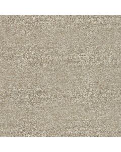Dreamweaver Breakview I Grounded Carpet - DW-4940-4040