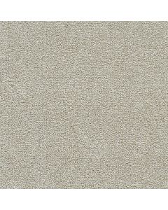 Dreamweaver Breakview I Anaheim Carpet - DW-4940-4595