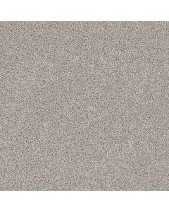 Dreamweaver Windy City III Falling Star Carpet - DW-4948-6069