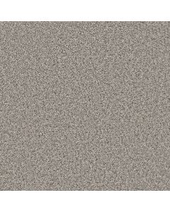 Dreamweaver Windy City III Cottonwood Carpet - DW-4948-6107