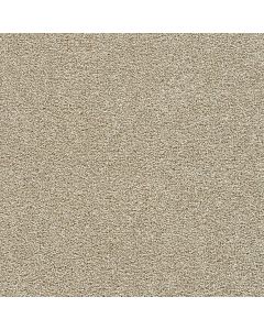 Dreamweaver Breakview III Spiced Apple Carpet - DW-4960-2984