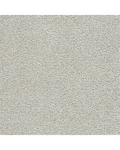 Dreamweaver Breakview III Shelburne Carpet - DW-4960-4198