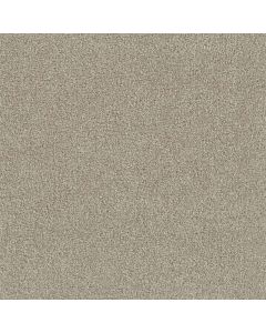 Dreamweaver Foxwood I Old Bay Carpet - DW-5044-349