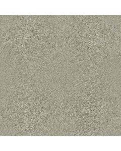 Dreamweaver Foxwood I Moon Mist Carpet - DW-5044-6006