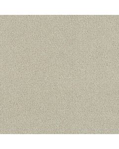 Dreamweaver Foxwood I Champagne Fizz Carpet - DW-5044-6309