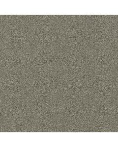 Dreamweaver Foxwood III Graceful Carpet - DW-5066-333