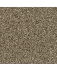 Dreamweaver Foxwood III Canyon Cliff Carpet - DW-5066-571