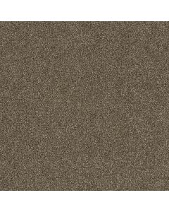Dreamweaver Foxwood III Quall Carpet - DW-5066-725