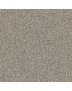 Dreamweaver Excalibur IV Breezeway Carpet - DW-5072-2526