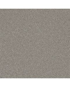 Dreamweaver Royale I Winterscape Carpet - DW-5137-6040