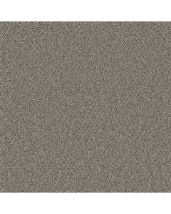 Dreamweaver Royale I Dogwood Carpet - DW-5137-6077