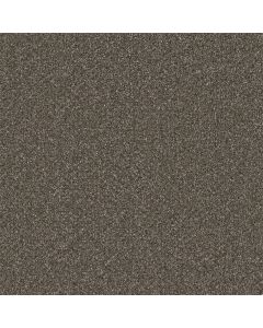 Dreamweaver Royale I Rugby Carpet - DW-5137-6112