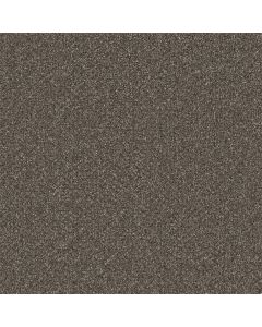 Dreamweaver Royale II Rugby Carpet - DW-5146-6112