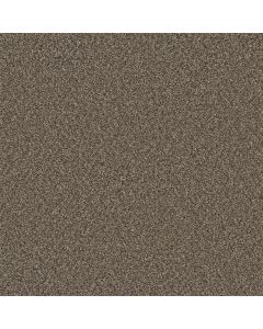 Dreamweaver Royale III Fawn Carpet - DW-5154-6005