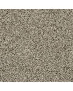 Dreamweaver Clear Skies I French Oak Carpet - DW-5245-788