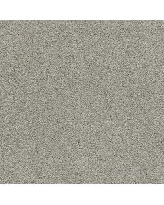 Dreamweaver Clear Skies I Silver Lining Carpet - DW-5245-830