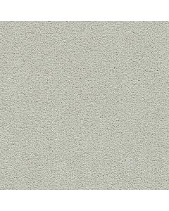 Dreamweaver Clear Skies I Snowbird Carpet - DW-5245-944