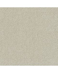 Dreamweaver Clear Skies II Pale Oak Carpet - DW-5264-4588