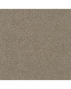 Dreamweaver Clear Skies II Warm Teak Carpet - DW-5264-784