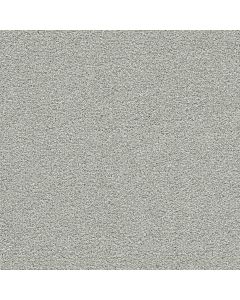 Dreamweaver Clear Skies III Dove Cove Carpet - DW-5276-2529