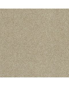 Dreamweaver Clear Skies III Cream Carpet - DW-5276-580