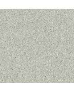 Dreamweaver Clear Skies III Snowbird Carpet - DW-5276-944