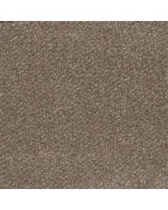 Dreamweaver Toast of the Town Marble Heights Carpet - DW-5315-403
