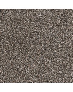 Dreamweaver Reflections II Imperial Sable Carpet - DW-5365-134