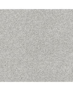 Dreamweaver Reflections II Sparkling Dew Carpet - DW-5365-513