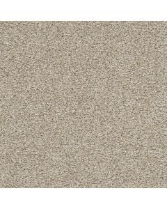 Dreamweaver Reflections II Seashells Carpet - DW-5365-758
