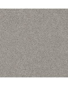 Dreamweaver Reflections III Dove Carpet - DW-5375-800