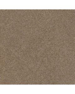 Dreamweaver Spectrum I Charismatic Carpet - DW-5660-2566
