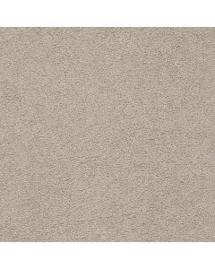 Dreamweaver Spectrum I Even Better Carpet - DW-5660-4588