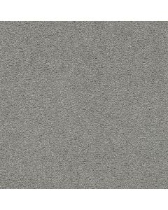 Dreamweaver Spectrum III Kiwi Cove Carpet - DW-5690-4662