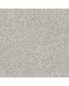 Dreamweaver Silver Lining III Distrail Carpet - DW-6033-2785
