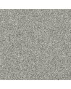 Dreamweaver Silver Lining III Alto Carpet - DW-6033-2820