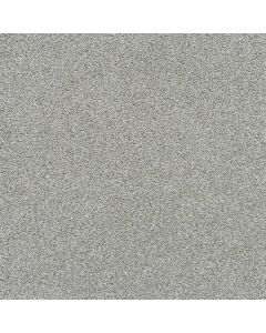 Dreamweaver Silver Lining III Galactic Carpet - DW-6033-2830
