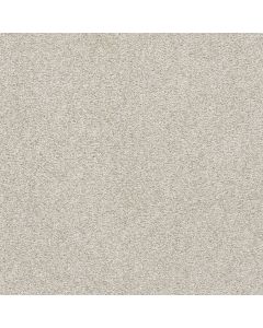Dreamweaver Silver Lining III Nimbus Carpet - DW-6033-2838