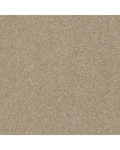 Dreamweaver Silver Lining III Cumulus Carpet - DW-6033-2941