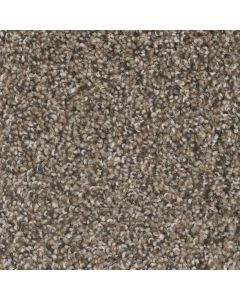 Dreamweaver West Brow Copper Mine Carpet - DW-6035-314