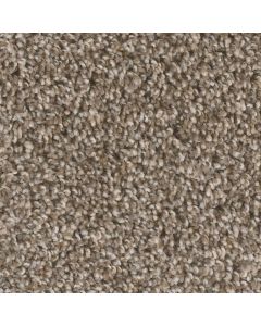 Dreamweaver West Brow Toasted Chestnut Carpet - DW-6035-385