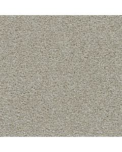 Dreamweaver Autumn Glow I Orchard Carpet - DW-6245-5286