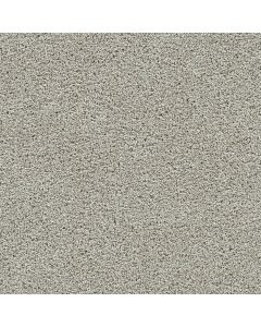Dreamweaver Autumn Glow III Fairview Carpet - DW-6265-5099