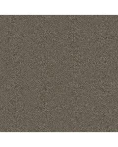Dreamweaver Blazer I Casa Marina Carpet - DW-6340-4032