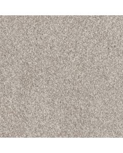 Dreamweaver Affinity I Elkhound Carpet - DW-6342-4042