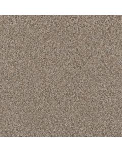 Dreamweaver Timberline I Iced Frappe Carpet - DW-6345-4423